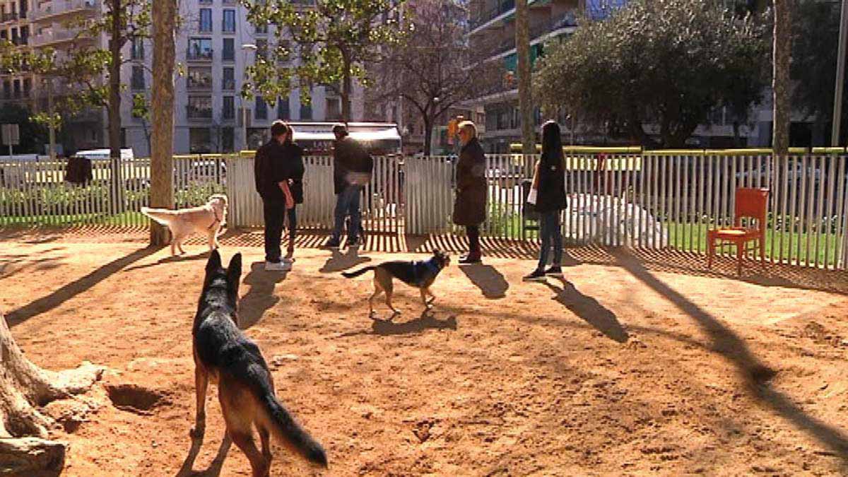 Zona d'esbarjo, gossos als jardins Montserrat